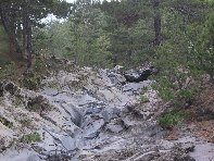 Torrente Quarantore